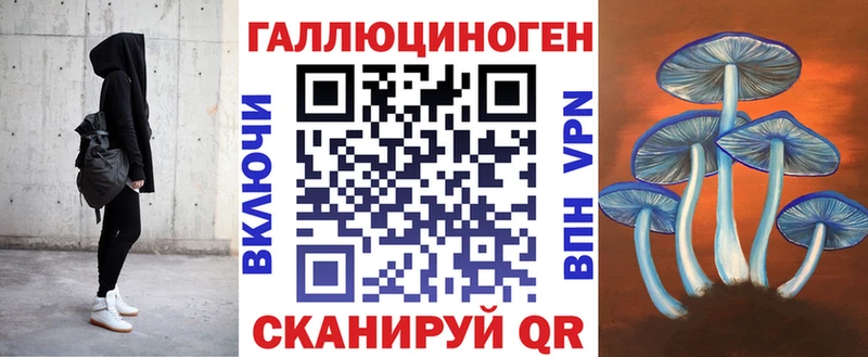магазин продажи   Камышин  Галлюциногенные грибы Psilocybine cubensis 